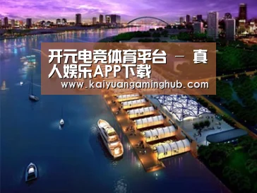 案例展示八